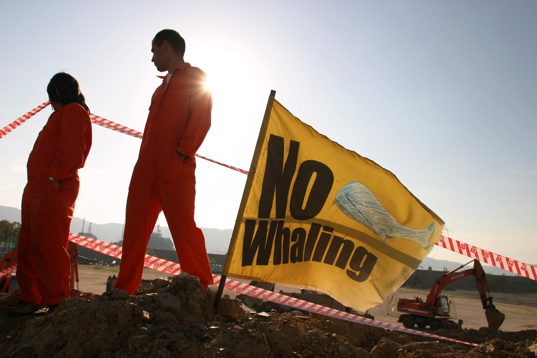 Anti-whaling protest in Korea, by Scotland Greenpeace photographer