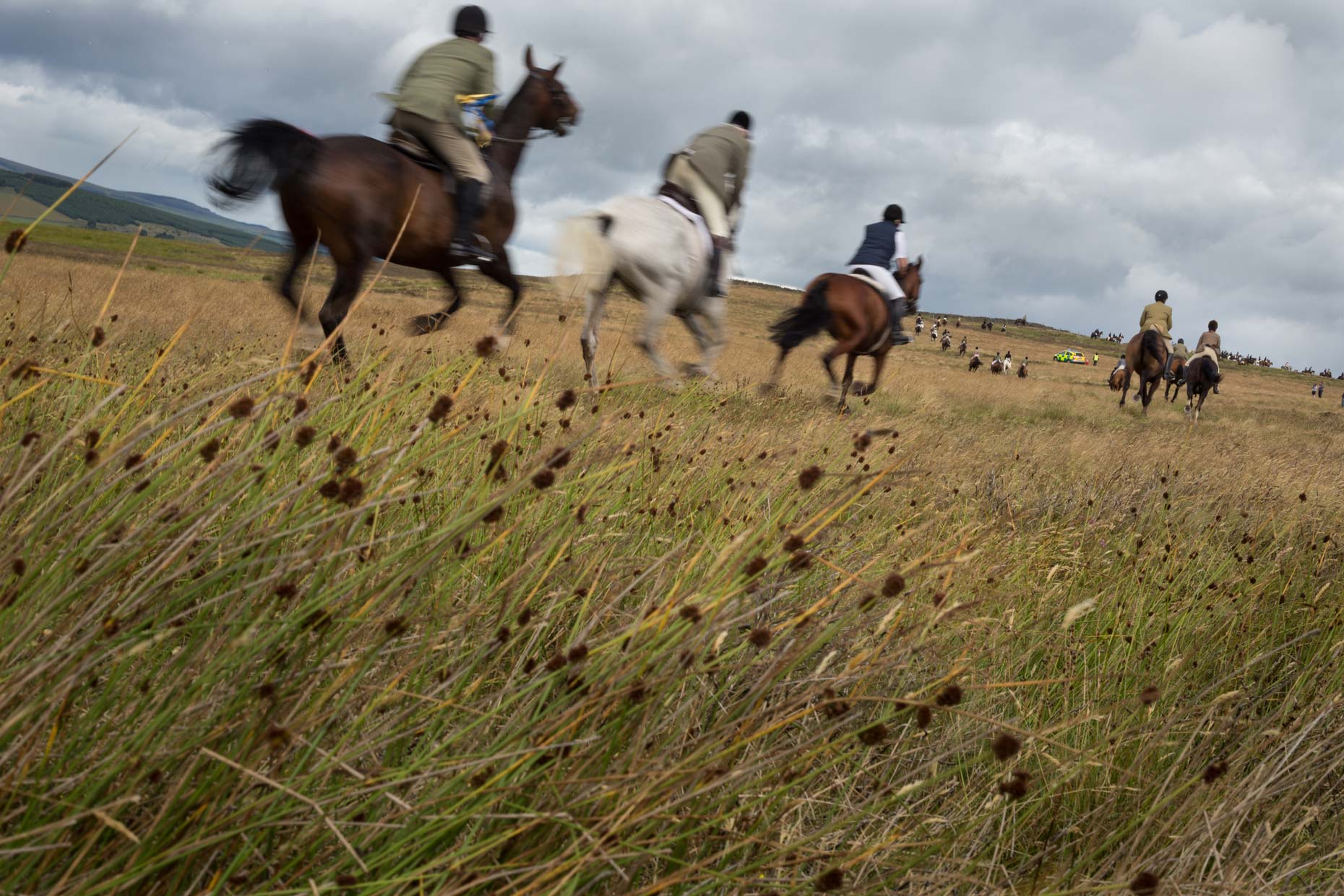 Horses at Lauder Common Riding, Scotland photographer