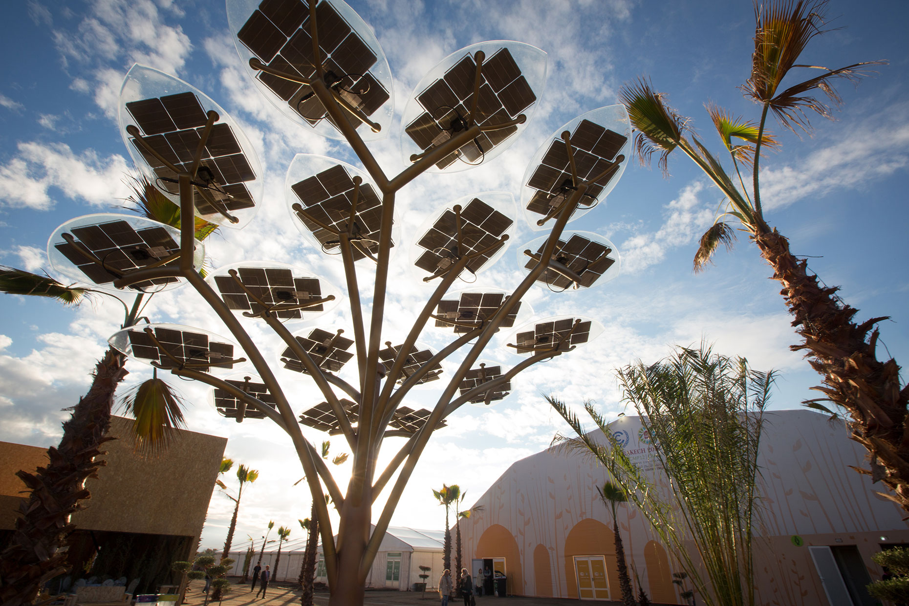 Solar panels tree, by Scotland Greenpeace photographer